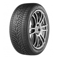 Yokohama BluEarth Winter V905 255/50 R19 107V