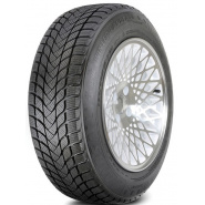 LANDSAIL WINTER LANDER 195/45 R16 84H