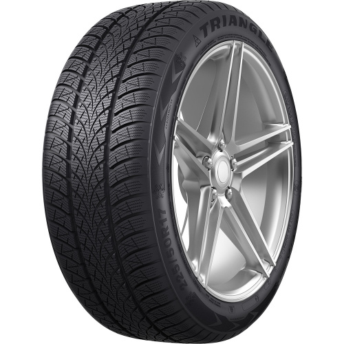 Triangle WinterX TW401 195/55 R16 91H XL - 1
