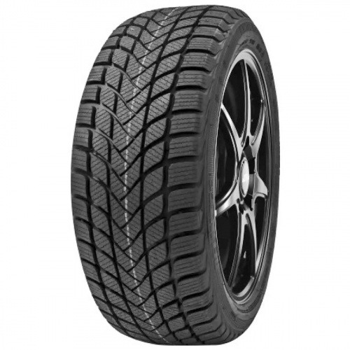 DELINTE Winter WD6 225/55 R16 99V - 1